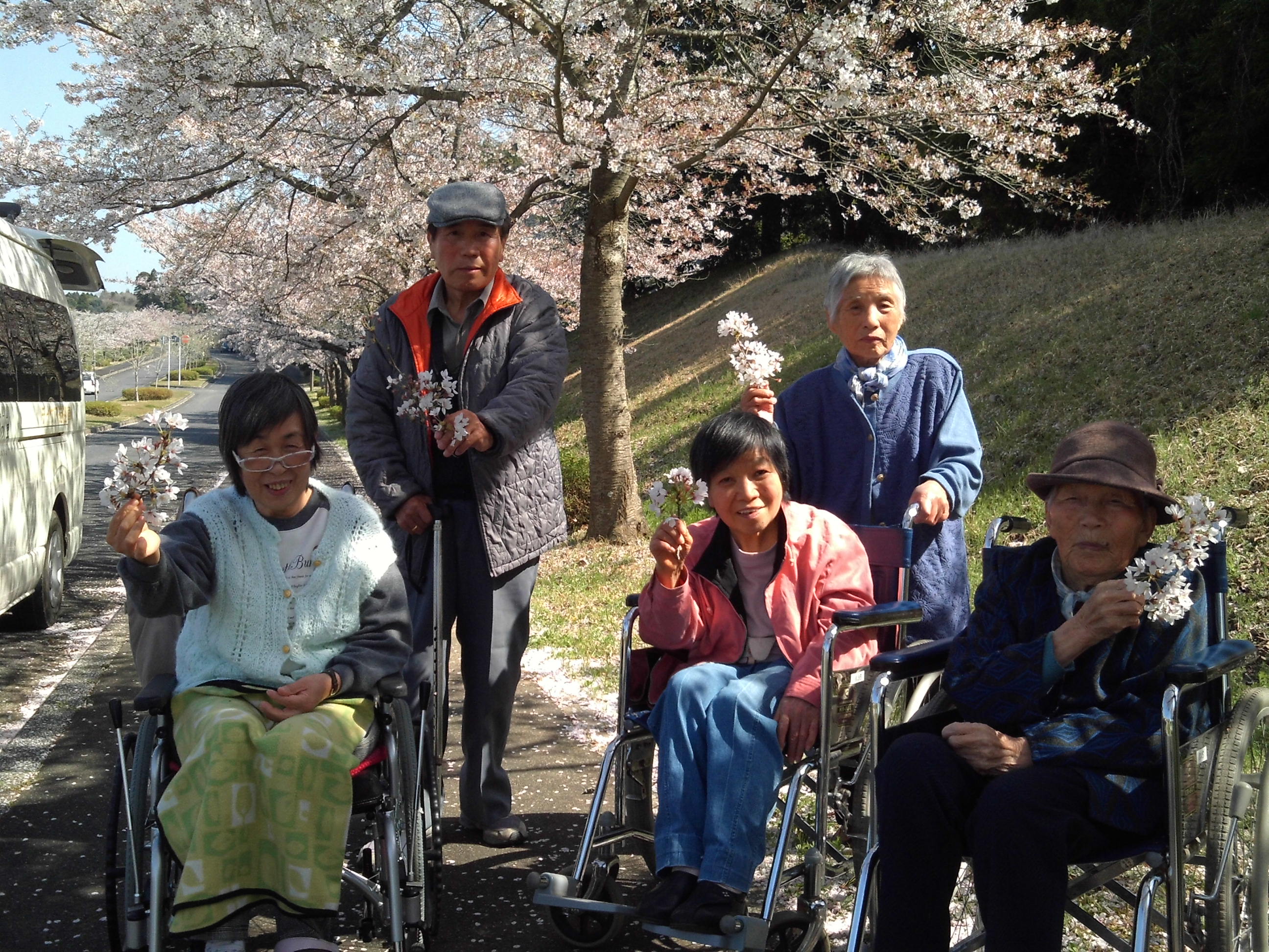 お花見の様子