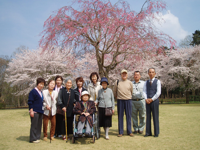 4月花見